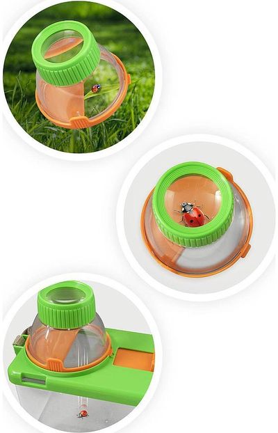 Vaikiškas terariumas BUKI