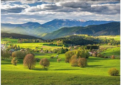 Dėlionė DINO Spring, 3000 det.