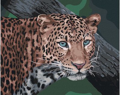 Tapyba pagal skaičius IDEYKA Laukinis žvilgsnis, 40 x 50 cm