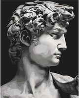 Tapyba pagal skaičius IDEYKA Mikelandželo Dovydas, 40 x 50 cm