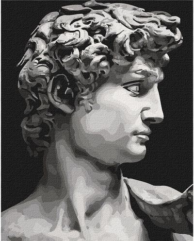 Tapyba pagal skaičius IDEYKA Mikelandželo Dovydas, 40 x 50 cm