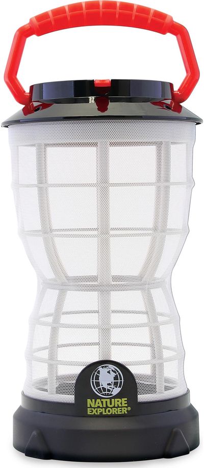 NATURE EXPLORER Vabzdžių rinkimo dėžutė