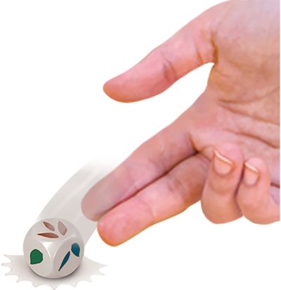 Stalo žaidimas BEŽDŽIONĖLĖS AKROBATĖS