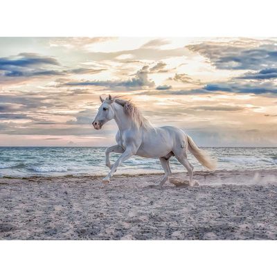 Dėlionė RAVENSBURGER Evening Gallop, 500 det.
