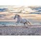Dėlionė RAVENSBURGER Evening Gallop, 500 det.