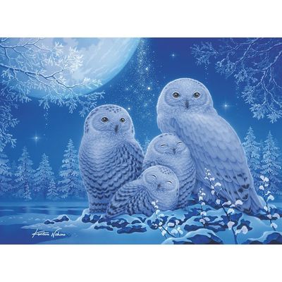 Dėlionė RAVENSBURGER Owls In The Moonlight, 500 det., šviečianti