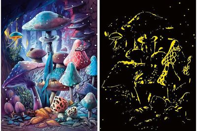 Dėlionė RAVENSBURGER Moonlight Mushrooms, 500 det., šviečianti