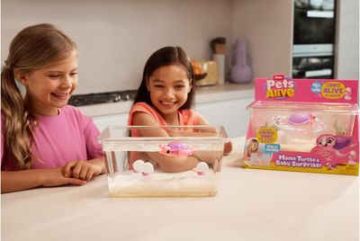 PETS ALIVE Interaktyvi vėžliukų mama su mažyliais