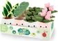 Pliušinis žaislas gėlių vazonėlis KEEL TOYS Plant Bobballs, 12 cm, įv. rūšių
