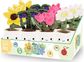 Pliušinis žaislas gėlių vazonėlis KEEL TOYS Flower Bobballs, 12 cm, įv. rūšių