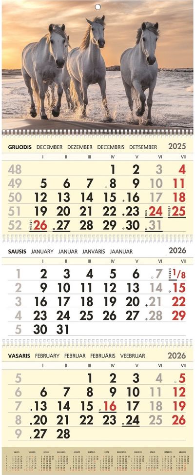 3-jų dalių sieninis kalendorius Laisvė 2026