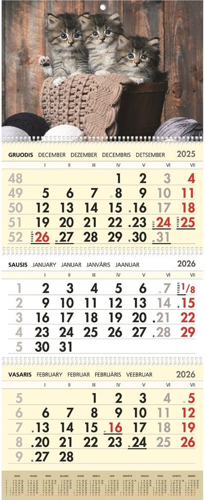 3-jų dalių sieninis kalendorius Kačiūkai 2026