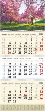 3-jų dalių sieninis kalendorius Sakuros 2026