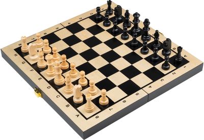 Šachmatų, šaškių ir nardų rinkinys PHILOS laukas 30 mm