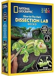 Mokslinis rinkinys NATIONAL GEOGRAPHIC Glow in the Dark Gecko Dissection Lab