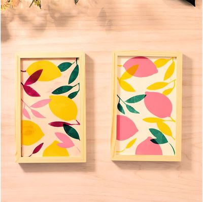 Kūrybinis rinkinys gelio spauda DJECO AGA Atelier 46 Gel Printing