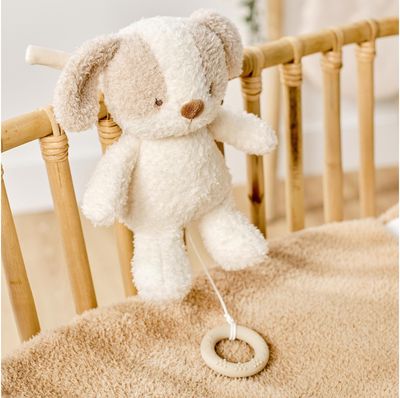 NATTOU TEDDY Muzikinis šuniukas, 16 cm