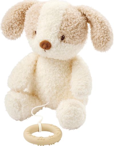 NATTOU TEDDY Muzikinis šuniukas, 16 cm