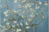 Plakatas Almond Blossoms by Vincent van Gogh, 61 x 91,5 cm