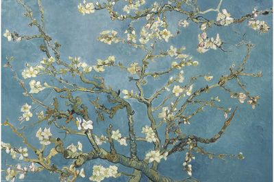 Plakatas Almond Blossoms by Vincent van Gogh, 61 x 91,5 cm