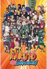 Plakatas Naruto Shippuden - Characters, 61 x 91,5 cm