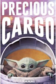 Plakatas Star Wars: The Mandalorian - Precious Cargo, 61 x 91,5 cm