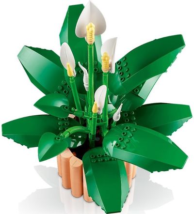 LEGO Botanicals Vėzdūnė Gėlių dekoras 11504