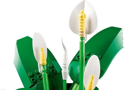 LEGO Botanicals Vėzdūnė Gėlių dekoras 11504