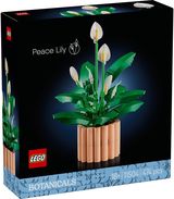 LEGO Botanicals Vėzdūnė Gėlių dekoras 11504