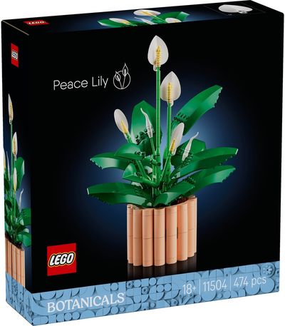 LEGO Botanicals Vėzdūnė Gėlių dekoras 11504