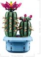 LEGO Botanicals Žydintis kaktusas Augalų dekoras 11509