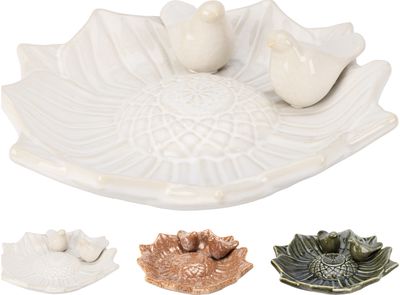 Paukščių lesyklėlė, įv. rūšių