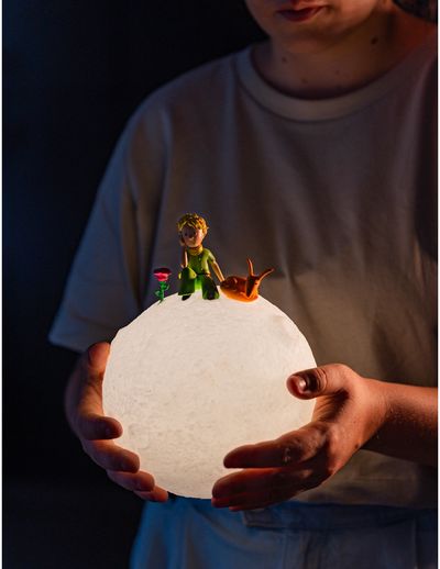 Lempa THE LITTLE PRINCE