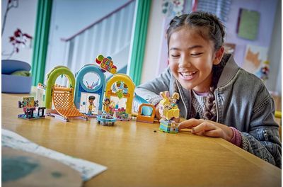 LEGO Friends Smagi namų žaidimų aikštelė