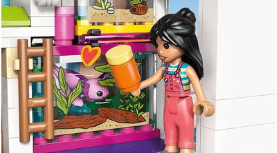 LEGO Friends Lijanos šeimos namas