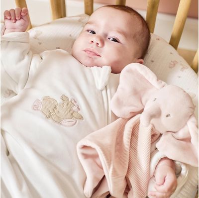 NATTOU Fanfan Doudou elephant pink