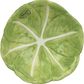 Dolomito dubuo Cabbages, 15 cm