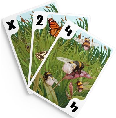 Stalo žaidimas BUZZIN' PICNIC