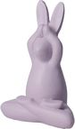 Dekoracija Yoga Rabbit, 9 x 6 x 11 cm, įv. rūšių