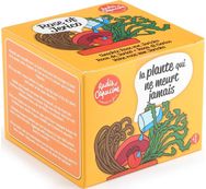 Auginimo rinkinys RADIS et CAPUCINE Jericho rožė (amžinas augalas), 11 cm