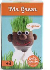 Daiginimo rinkinys RADIS et CAPUCINE Mr. Green Oliziukas