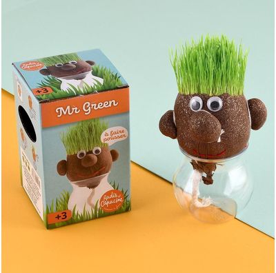 Daiginimo rinkinys RADIS et CAPUCINE Mr. Green Oliziukas