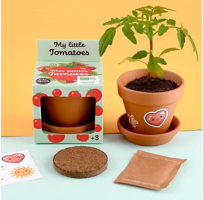 Auginimo rinkinys vaikams RADIS et CAPUCINE Ekologiški vyšniniai pomidorai