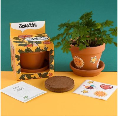 Auginimo rinkinys vaikams RADIS et CAPUCINE Jautrioji mimoza