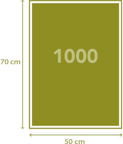Dėlionė CLEMENTONI Museum Vincent van Gogh Kavinės terasa naktį, 1000 det., compact