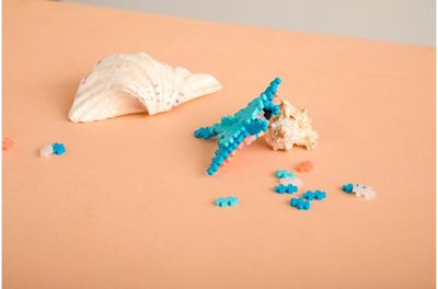 Konstruktorius PLUS PLUS Raja, 100 det.