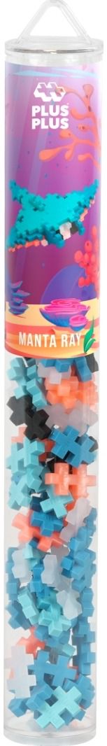 Konstruktorius PLUS PLUS Raja, 100 det.