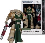 Kolekcinė figūrėlė Warhammer 40000 Figures WV12 Sternguard Veteran (Space Marine), 18 cm