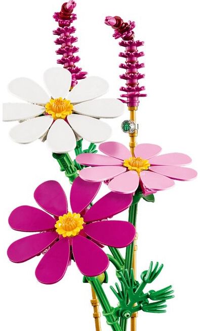 LEGO Botanicals Kosmėjos 11514