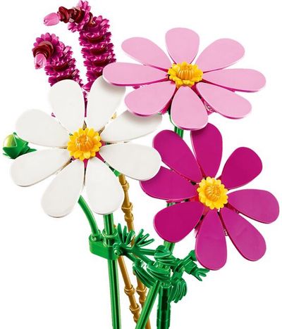 LEGO Botanicals Kosmėjos 11514